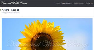 NatureAndWildlifePosings.com